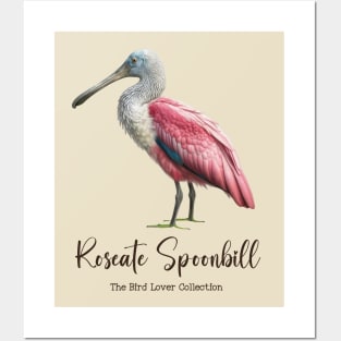 Roseate Spoonbill - The Bird Lover Collection Posters and Art